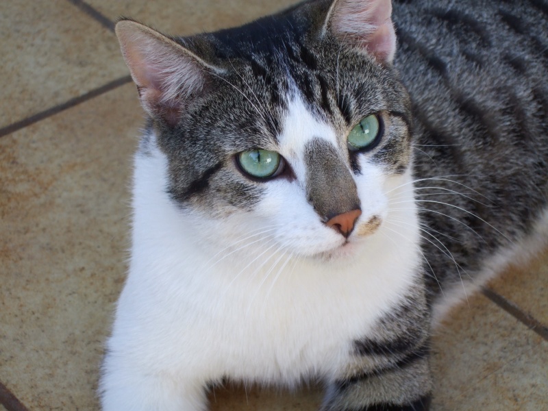 Ostern 2007 Orleshausen 040 